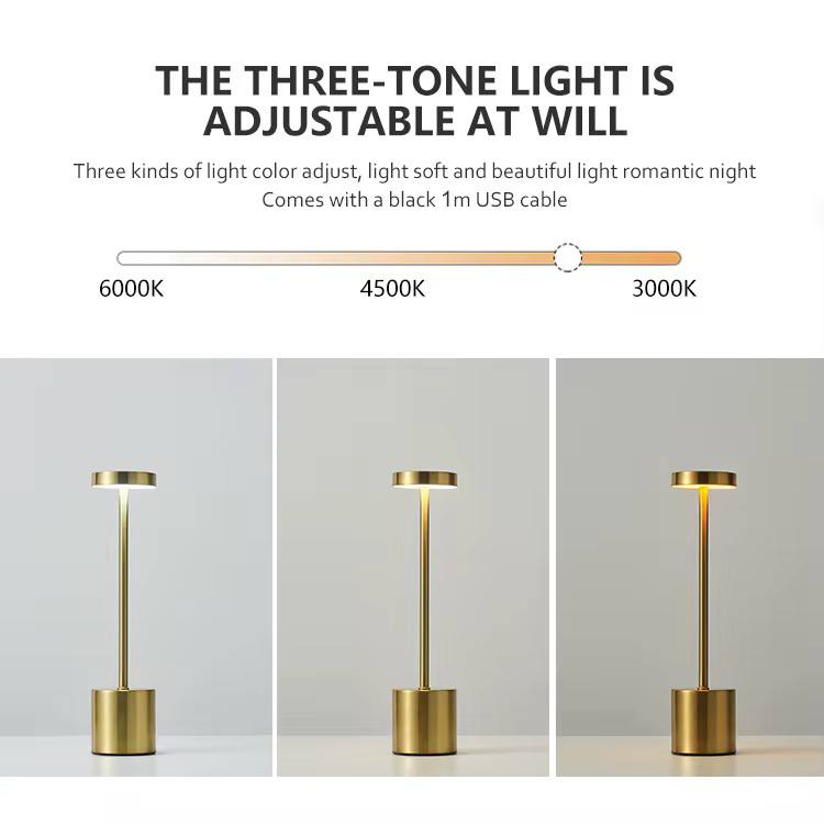 3 Mode Rechargable LED Lamp